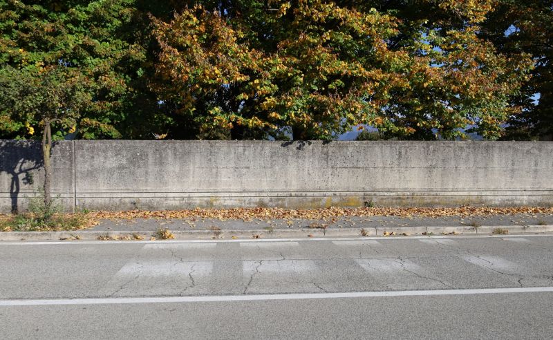 Fall Concrete Finish