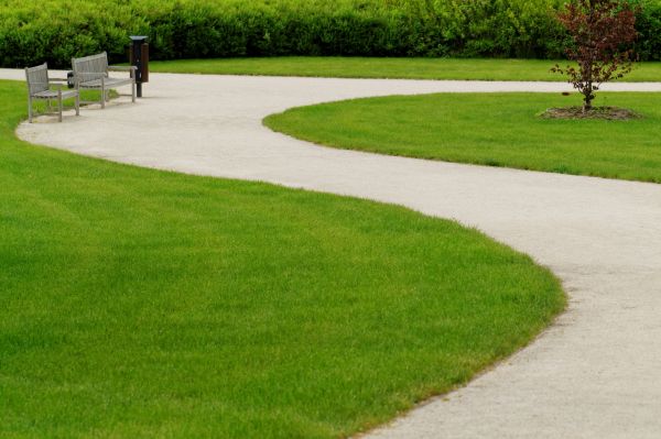 Sidewalk Concrete Service in Dallas
